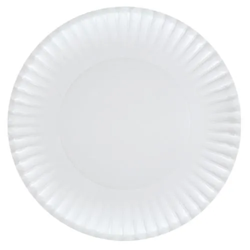 9" Paper Plate