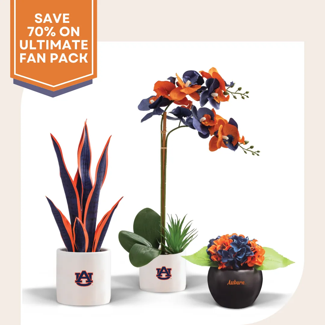 Auburn War Eagle Snake Plant, Orchid & Hydrangea