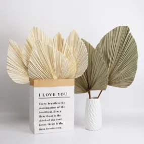 Dried Palm Leaves Natural Dried Fan Leaf Palm Boho Decor