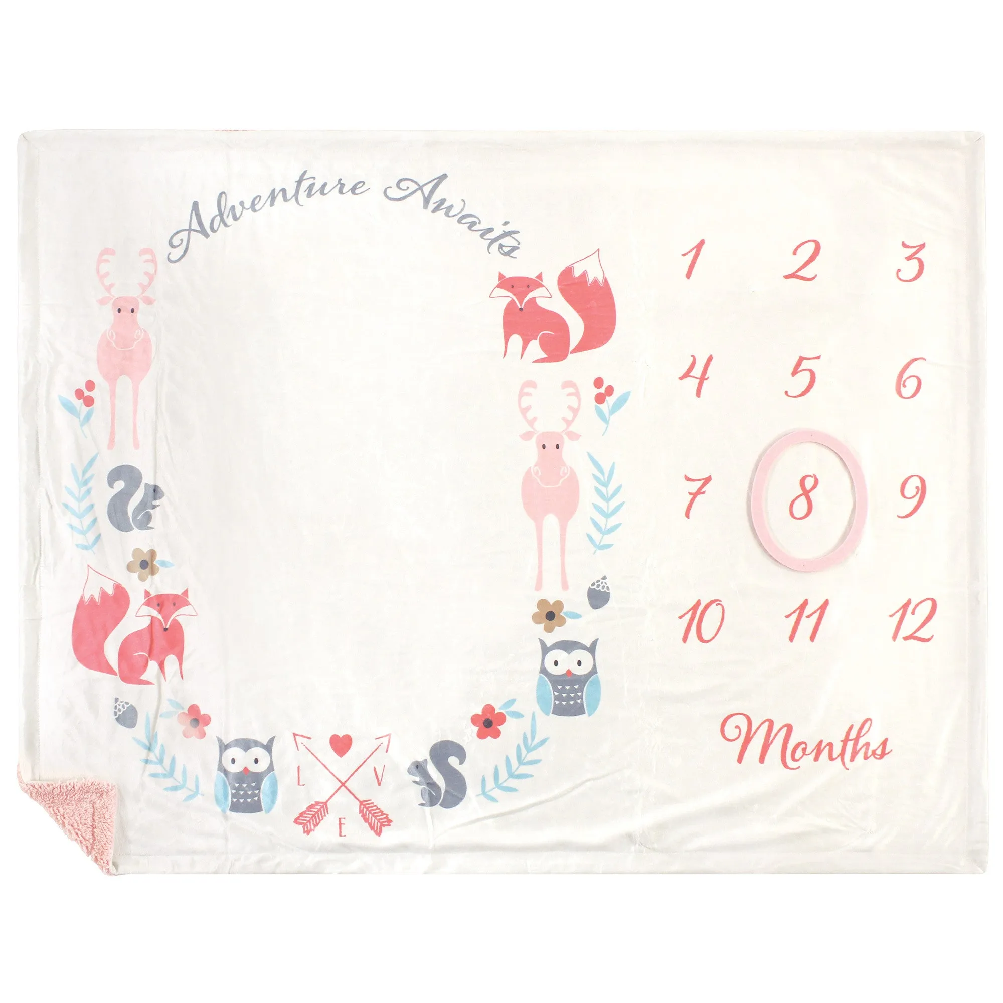 Hudson Baby Plush Holiday and Milestone Blanket, Girl Adventure Awaits