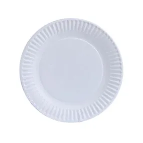 Premium Paper Plate Options: 9inch Plate and 6inch Plate, Count - 20 packs of 60