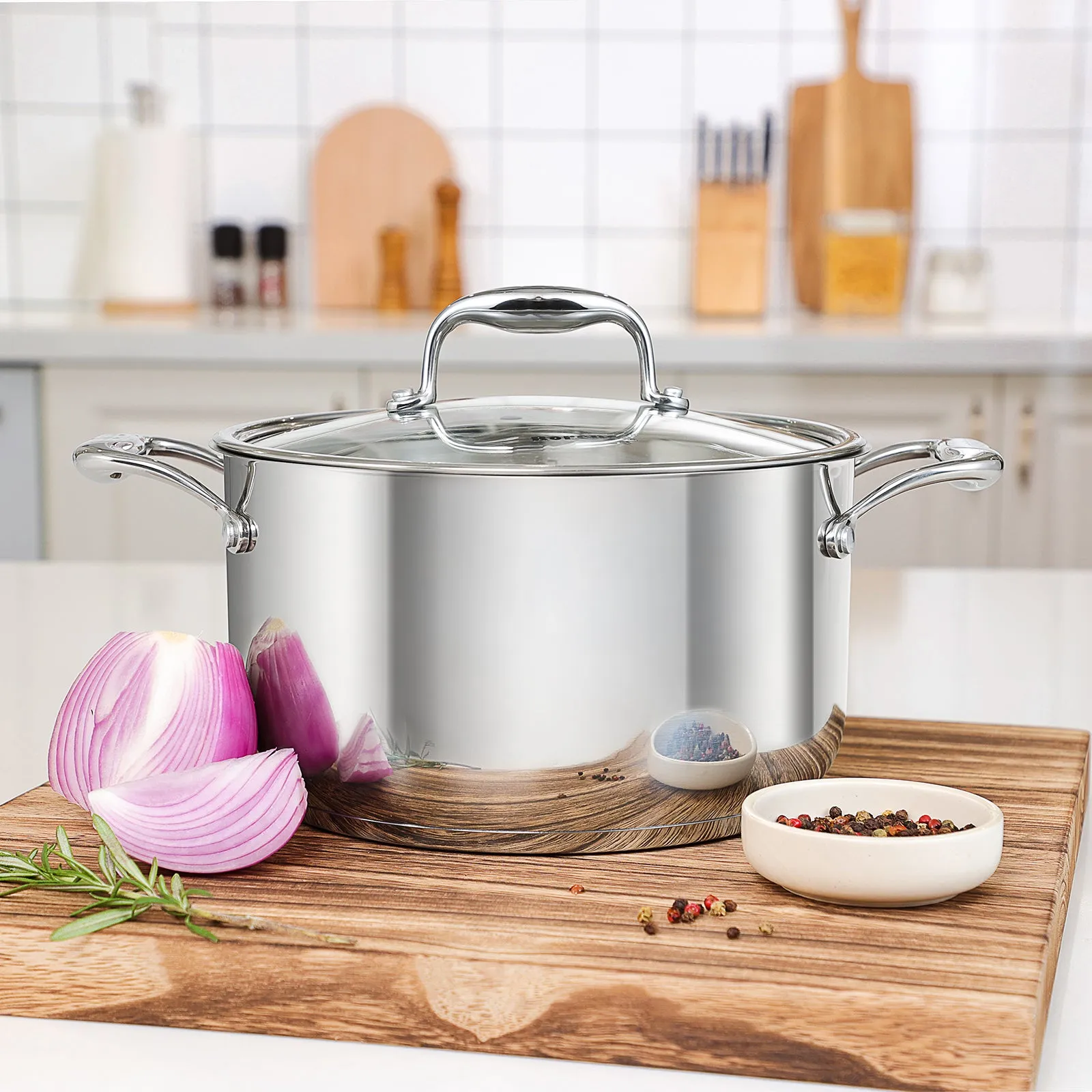 Rorence Stainless Steel Stock Pot with Lid: 6 Quart Stockpot Pasta Pot with Two Side Spouts, capsule Bottom, Glass Lid