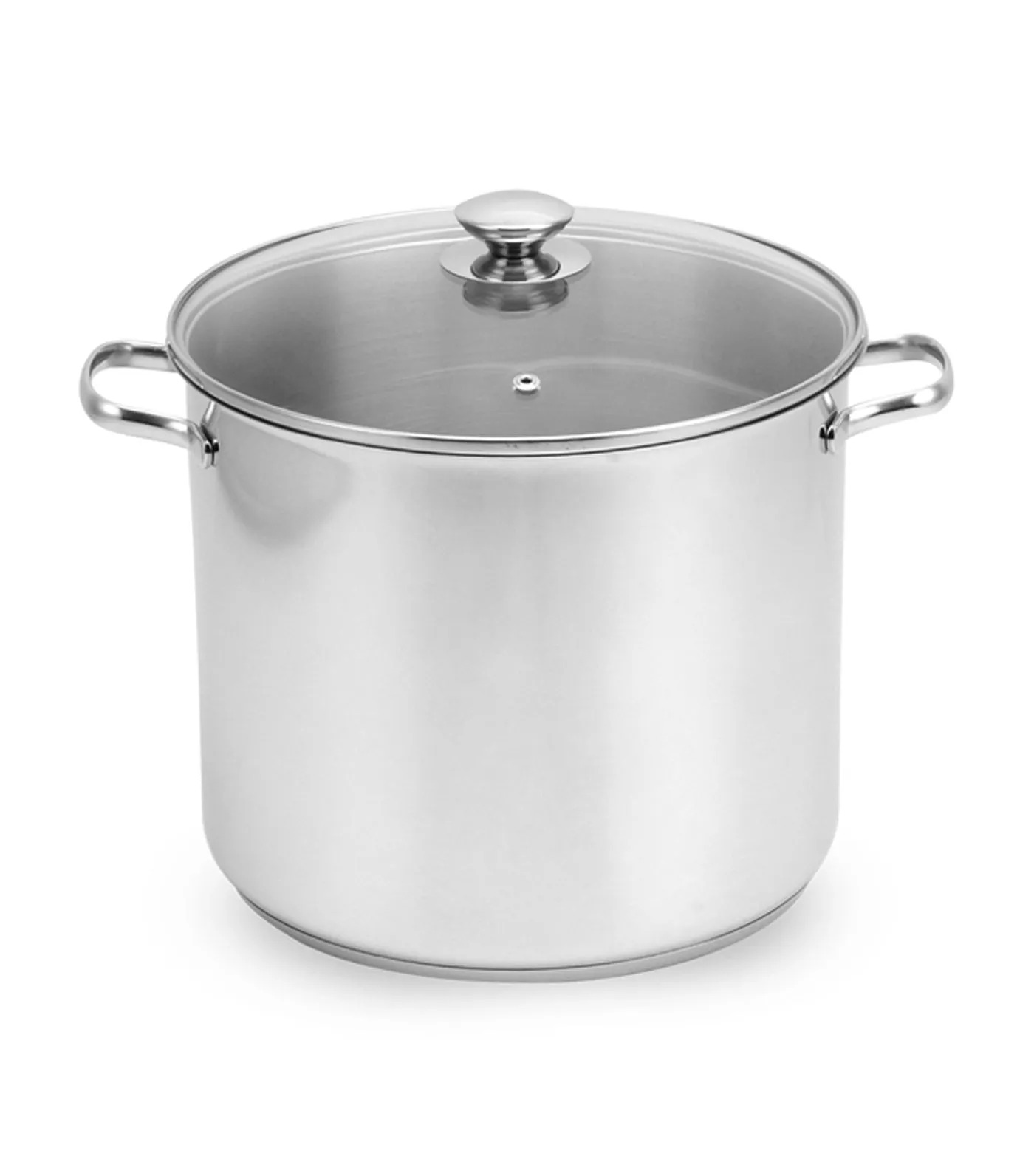 Stainless Steel Stockpot with Glass Cover