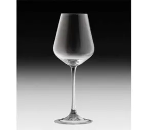 Villeroy Boch 16-6621-0035 White Wine/Goblet Glass, 9 in , 12-3/4 oz., La Divina